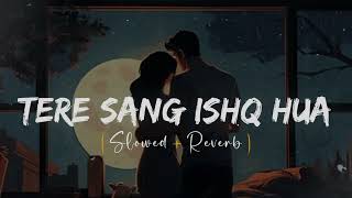 Tere Sang Ishq Hua (Slowed+Revez) |❤️ Arijit Singh, Neeti Mohan| Yodha | Lofi Boy