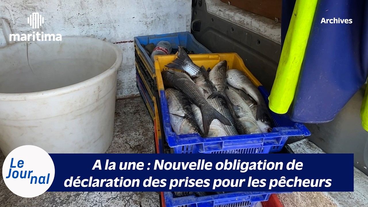 25/02/2026 - Le Journal Maritima TV