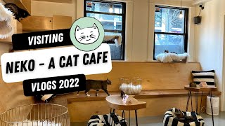 Visiting Neko  The Cat Cafe in Seattle Washington