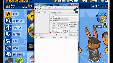 wild ones coin hack cheat engine 6.1
