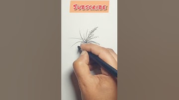 How to draw palm tree easy