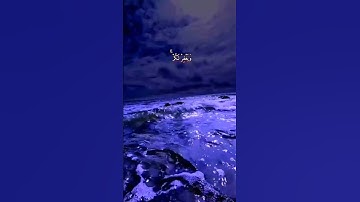 #سورة التغابن بصوت اسلام صبحي ❤️#القرآن الكريم #سورة التغابن