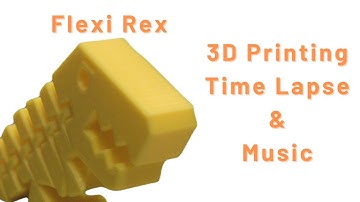 3D Printing Timelapse Ender 3 - Flexi Rex