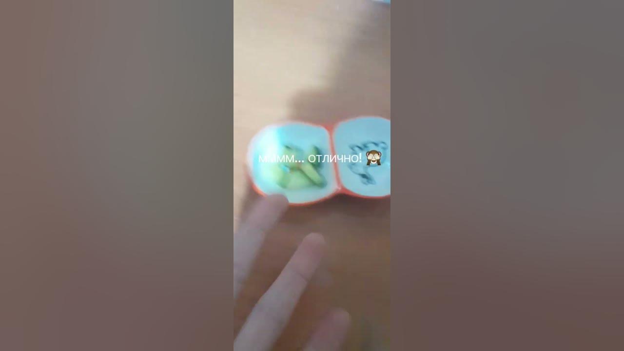 еда для хомяков ! 🐹 ️‍🔥👌😍😍😍 - YouTube