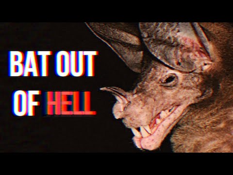 Spectral Bats - The Vampires That EAT Other Vampires