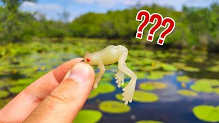 I fish whit this MICRO FROG in a CRAZY POND !!!