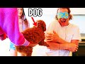 WE GOT A DOG (emotional)