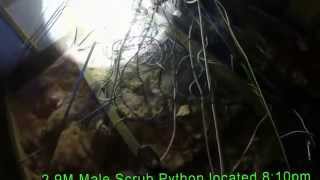 Cairns Snake Catcher removes two Scrub Pythons from a roof space Net Worth