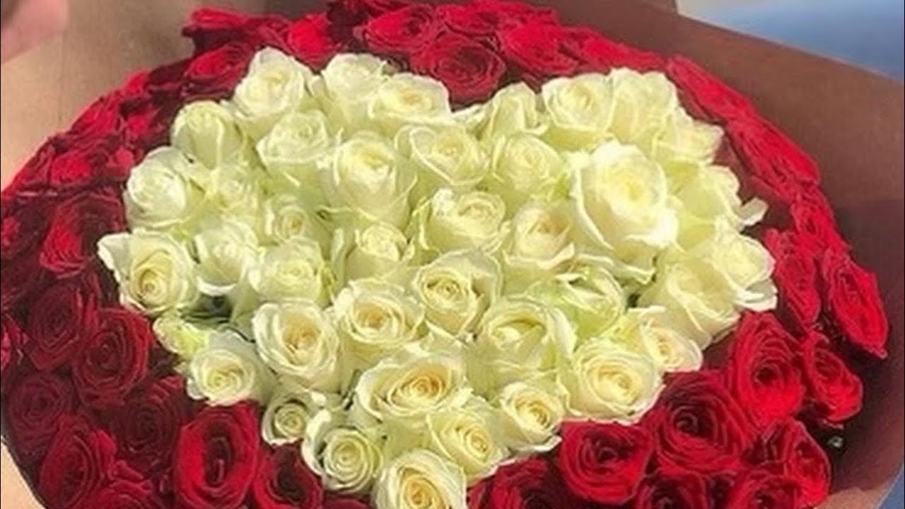 FIN DE SEMANA DE CAMPING, NEW YORK UPSTATE 