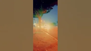 من قال اموت واني وراك 
