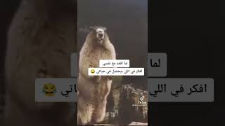 لما افكر ايش البحصل بحياتي