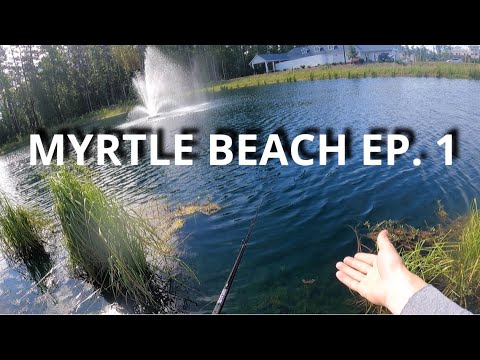 BASS fishing at the BEACH?!