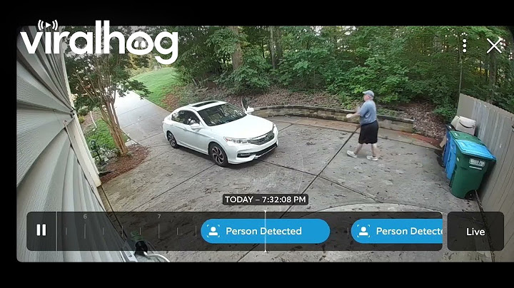 Pizza Delivery Man Goes The Extra Mile For Sick Customer || ViralHog