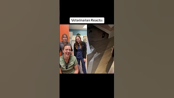 Veterinarian Reacts To Toilet Paper Thief 🧻 #shorts