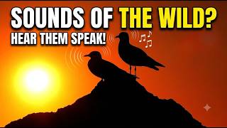 When the Wild Speaks: Majestic Sunset Bird Calls