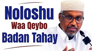 Noloshu Waa Qeybo Badan Tahay || Sheikh Mustafe Xaaji