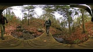 360 Spherical ~ Mapleton Acadian Forest Trial