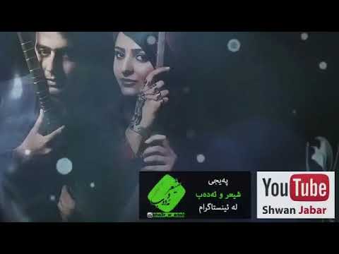 همای مستان روزگارم را سیاه کردن