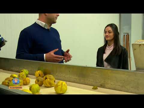 მე ვარ ფერმერი-საწარმო “Anaseuli”