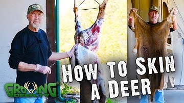 How To Easily Skin A Deer (#580)