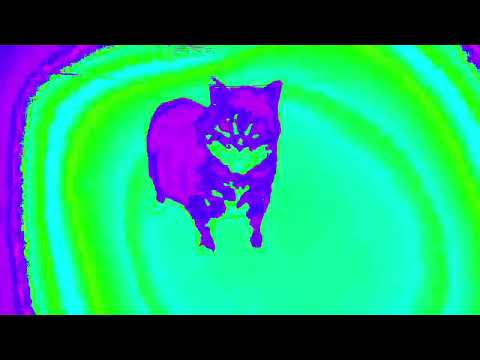 W&W - OIIA OIIA (Spinning Cat) In Robot Flip 2.0 (Hypeclube e)