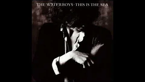 The Waterboys - Don't Bang The Drum