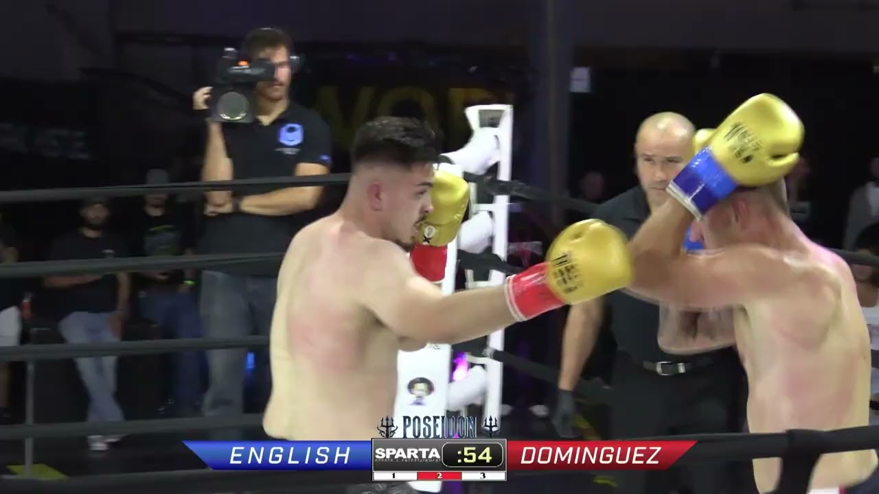 FN24 - Фрэнсис Инглиш против Лео Домингеса
