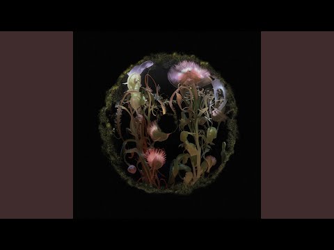 Aşk Yok (Disco Tarantula Remix)