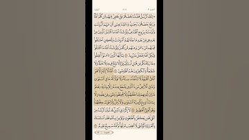 سورة الكرسي بصوت القارئ: ماهر المعيقلي