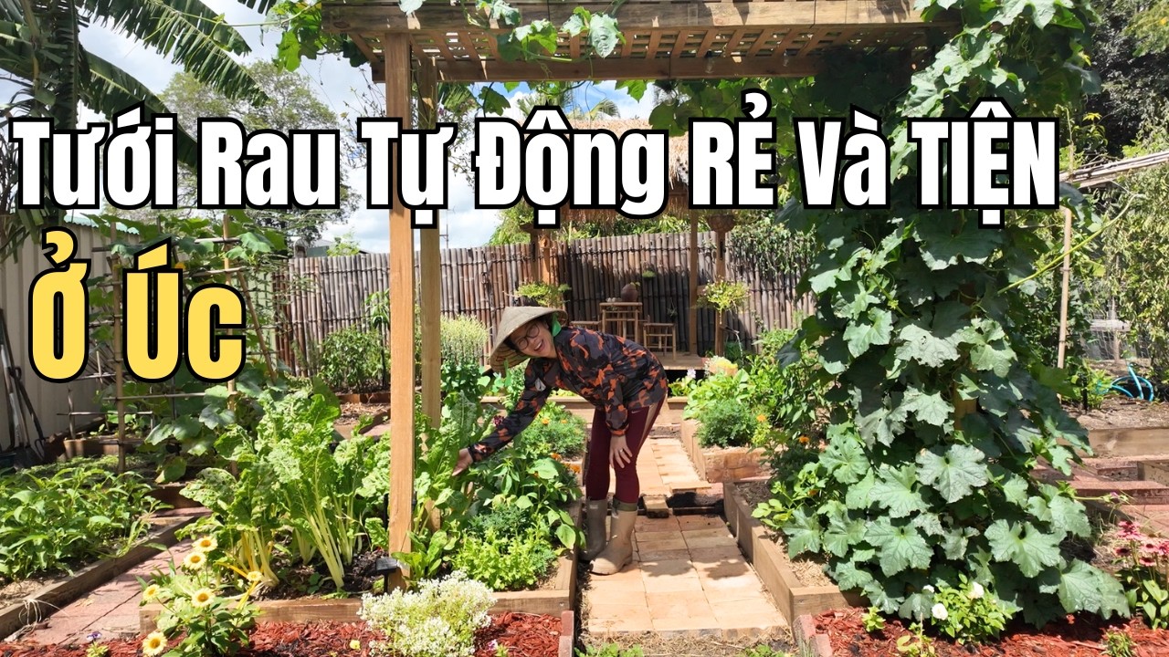 Cuộc Sống Úc - Làm Hệ Thống Tưới Rau Tự Động Tiết Kiệm Chi Phí Và Thời Gian Cho Vườn Nhà Ở Úc