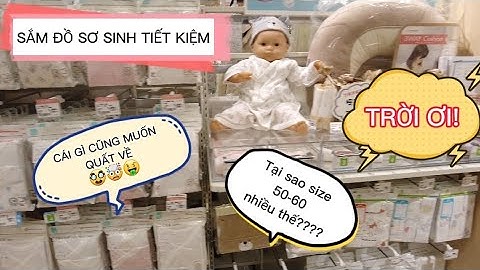 So sánh nhãn hàng nous vớ zarakids năm 2024