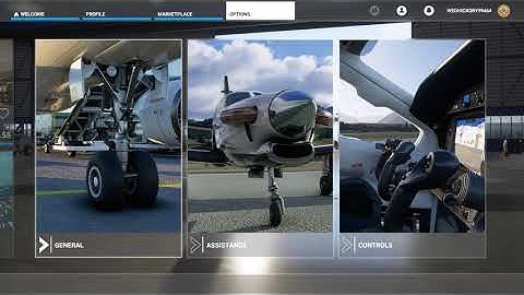 How to display FPS in Microsoft Flight Simulator