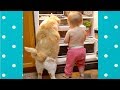 Sweet Moments Between Babies and Cats #2| Top Cats Video Compilation