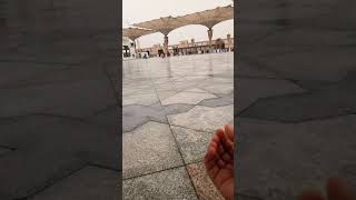 Hailing In Masjid-Un-Nabwi Madina Munawara