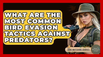 What Are The Most Common Bird Evasion Tactics Against Predators? - Bird Watching Diaries