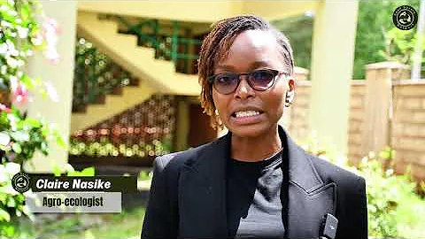 The fight for seed sovereignty: Kenyan farmers challenge punitive seed laws