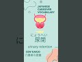 1 Kaigo (Japanese Caregiver) vocabulary every day! 介護士 言葉