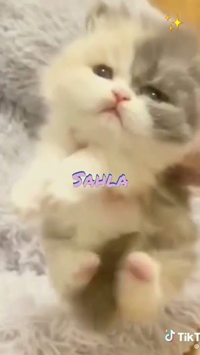 sahla