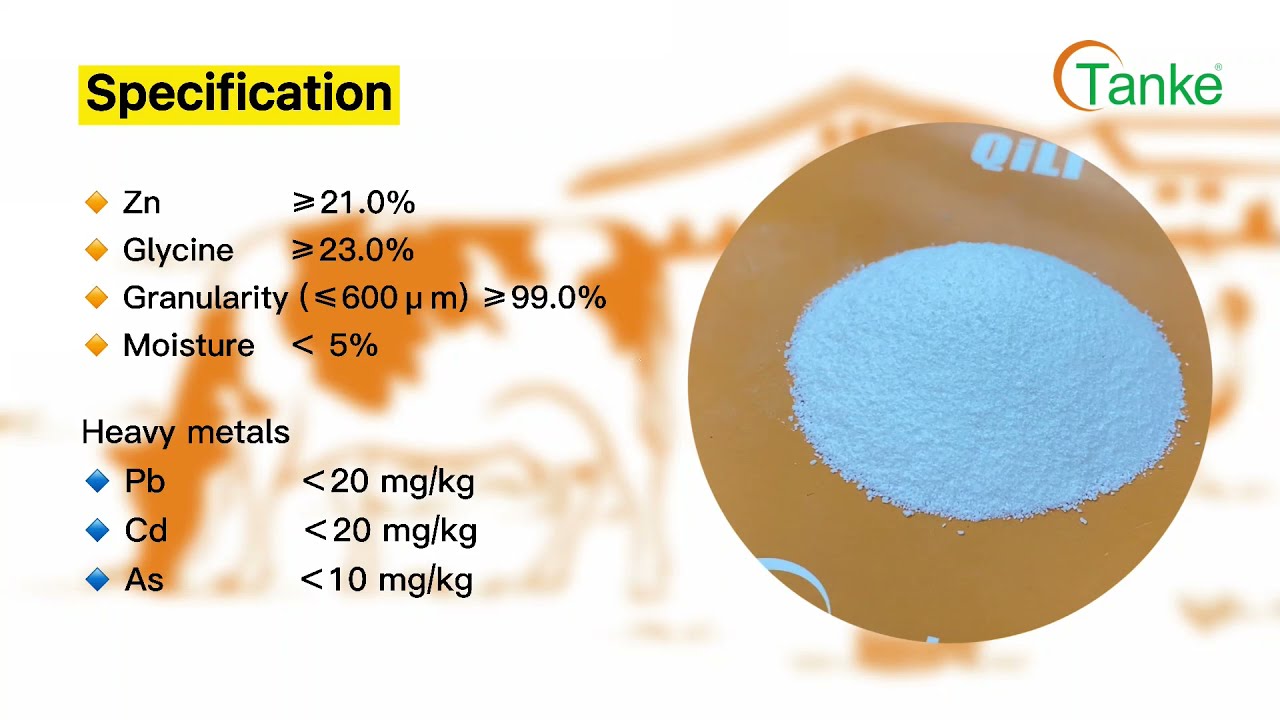 Qili Zn (Zinc Glycine Chelate) YouTube
