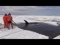 Animal thanking humans for their help