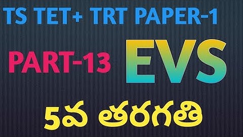 TS TET+TRT 5th class  EVS paper-1#AK Vlogs#TET#