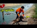 انقظت كلب بيغرق في مياه الصرف الصحي 