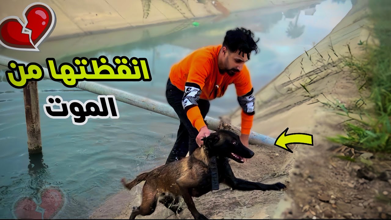 انقظت كلب بيغرق في مياه الصرف الصحي😨