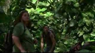 Lost - Hurley bird screenshot 5