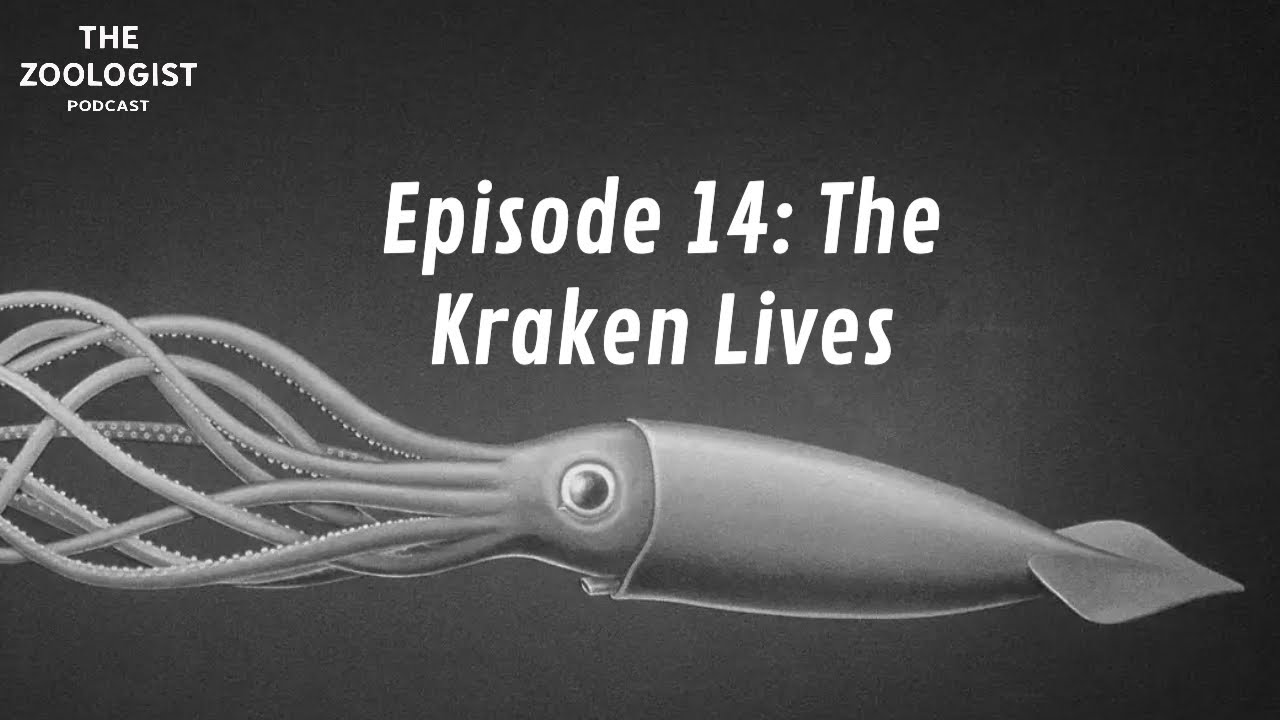 Episode 14: The Kraken Lives
