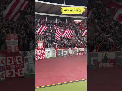 Nova Pesma Delija Youtubeshorts Fkcz Delije Delijesever Navijači Pesma Crvenazvezda