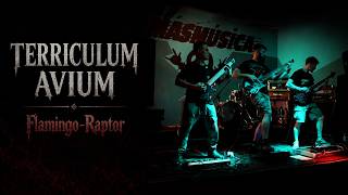 Playing Live The Song Flamingo-Raptor From Our Latest Album Vacuum