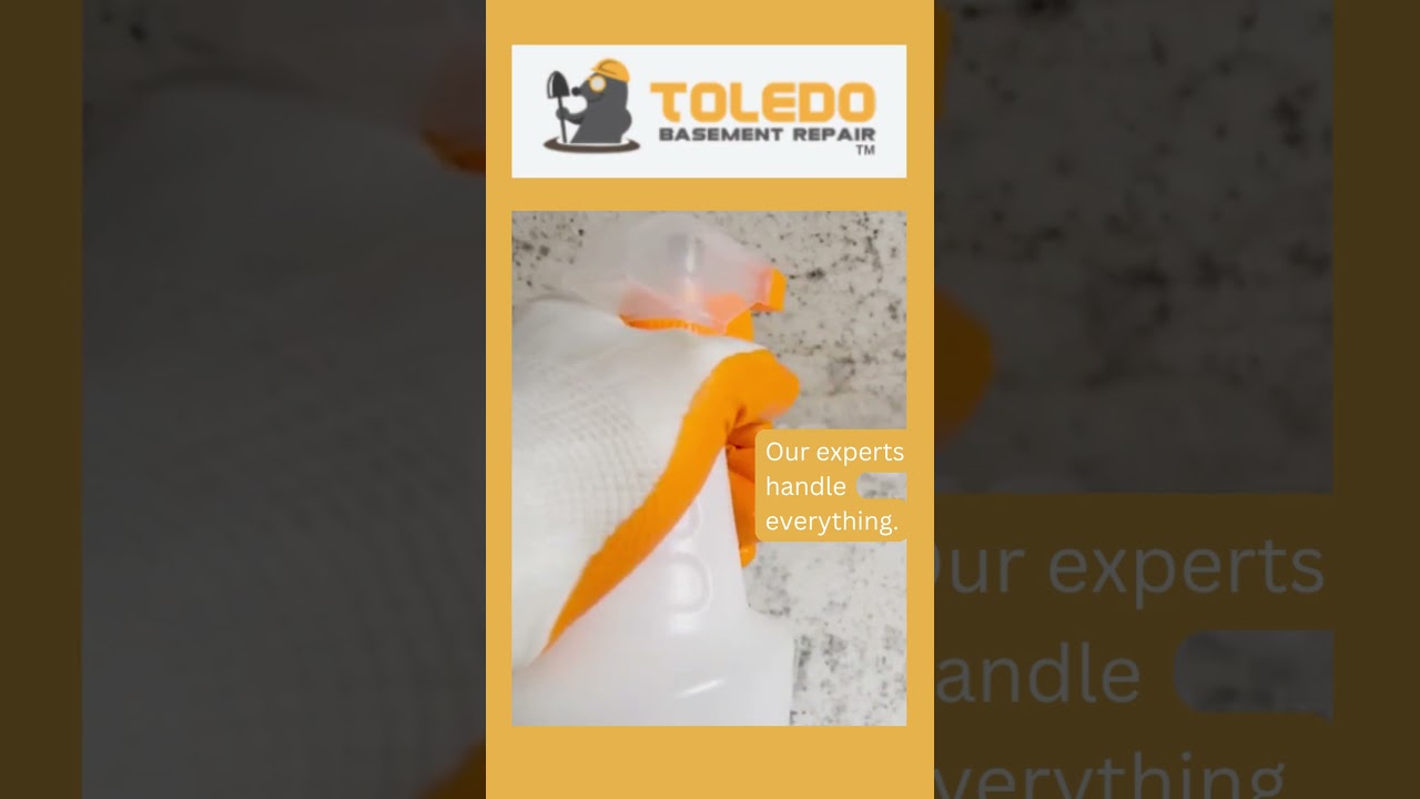 Mold Inspection and Removal