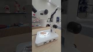 Microscópio Estereoscópico Binocular TIM-10B