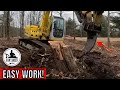 Big excavator digging stumps